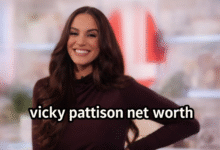Vicky Pattison net worth