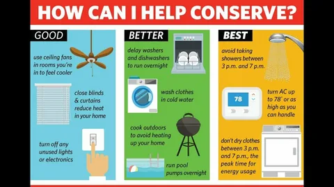 Affordable Ways to Switch to Sustainable Energy Today